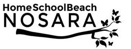 Homeschool Beach Nosara